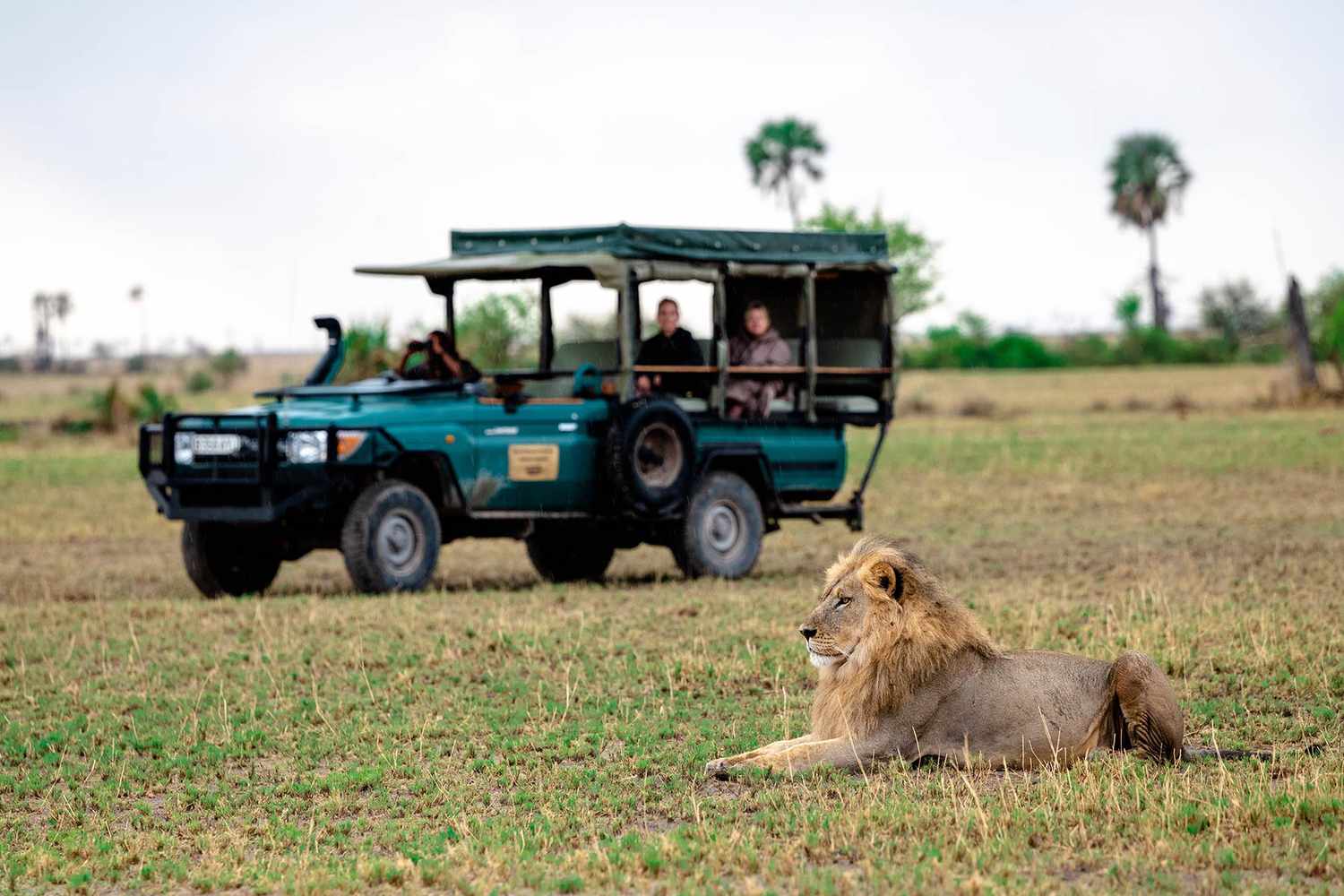 5-Day Moremi and Chobe National Park Safari